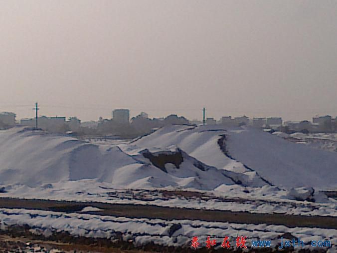 20101216285.jpg