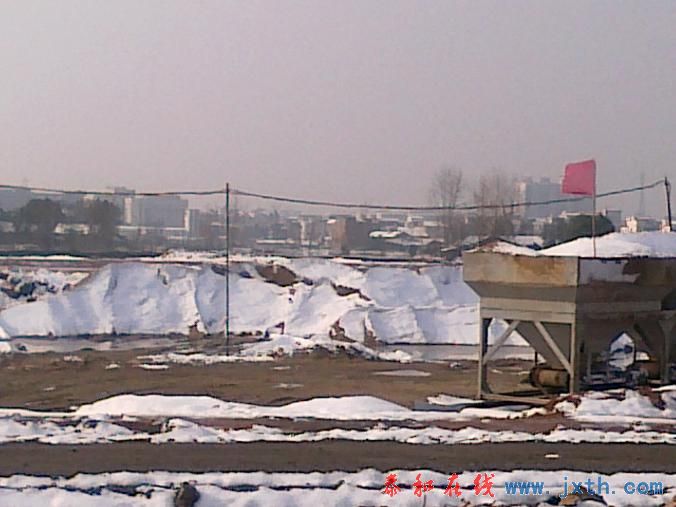 20101216286.jpg
