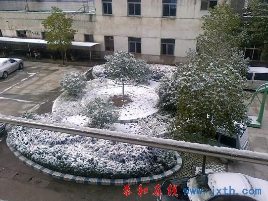 20101216282.jpg