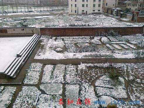 20101216280.jpg