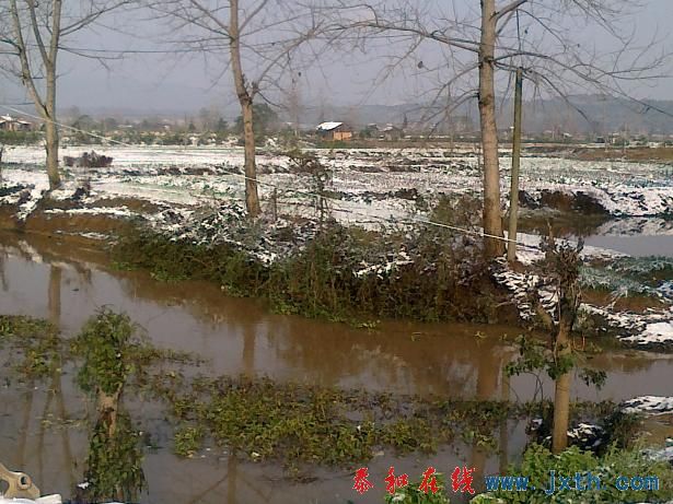 20101216284.jpg