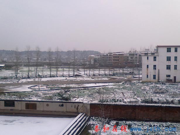 20101216281.jpg