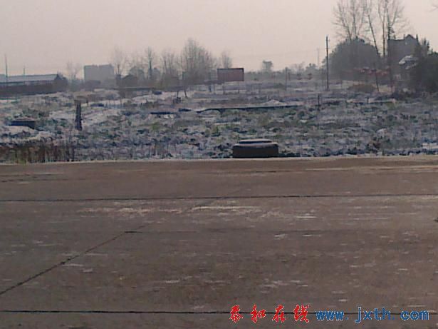 20101216283.jpg