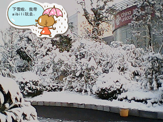 IMG0013B_conew1.gif