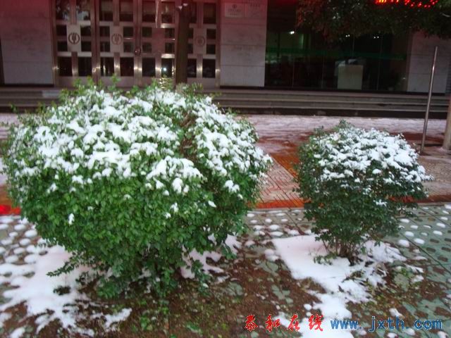 С DSC09001.JPG