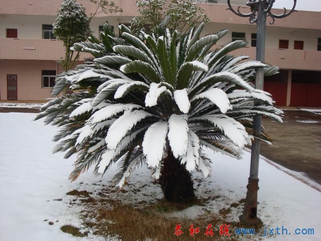 С DSC09002.JPG