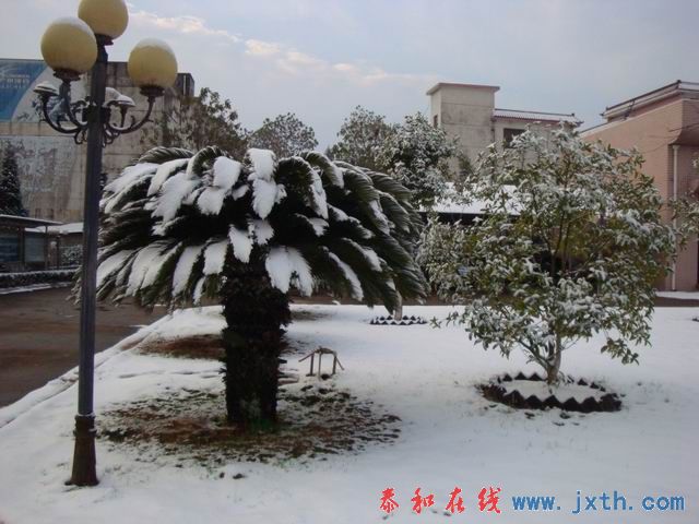 С DSC09017.JPG