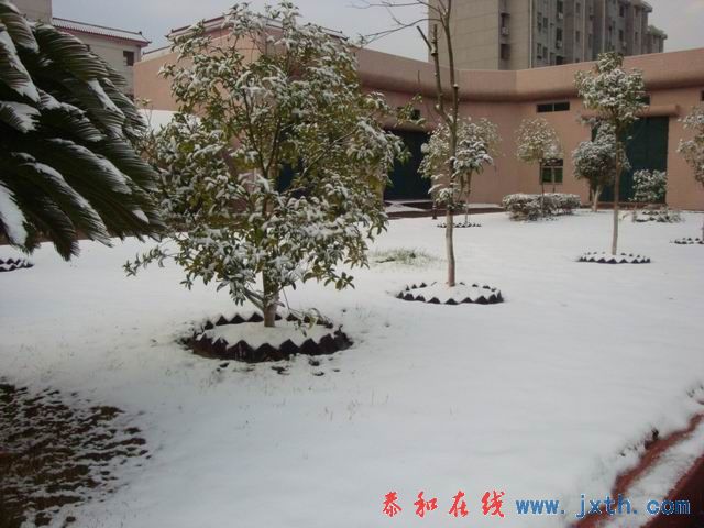 С DSC09018.JPG