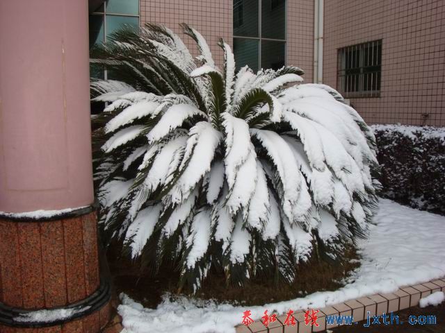 С DSC09019.JPG