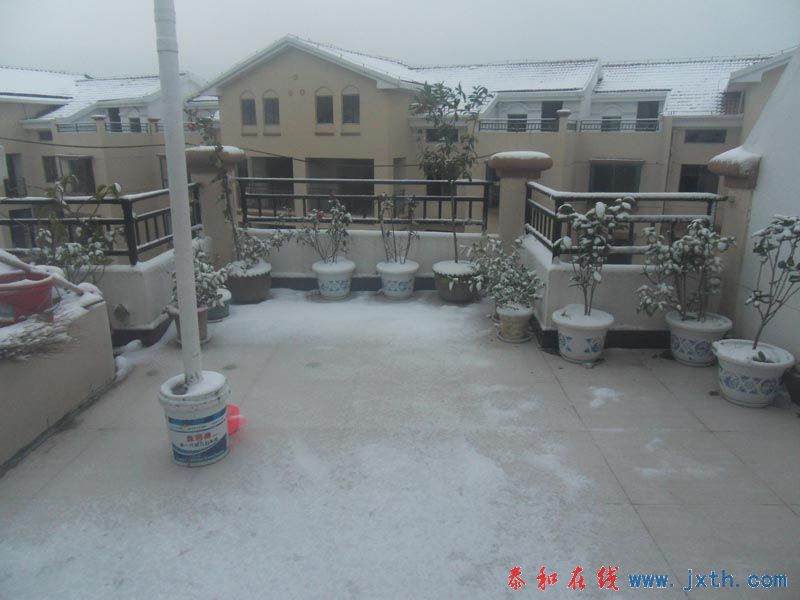 SDC10702.jpg