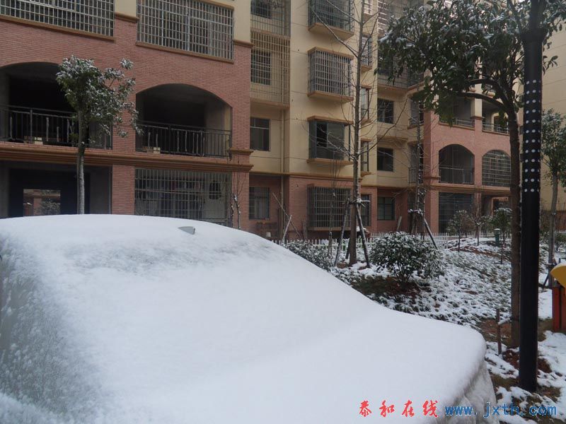 SDC10705.jpg