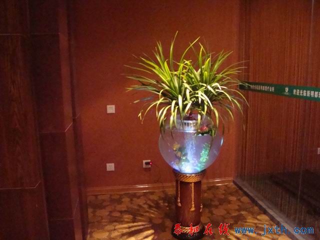 С DSC09087.JPG