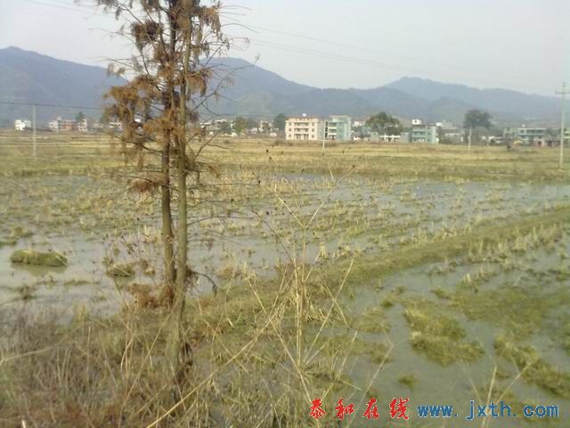 С 20101223191.jpg