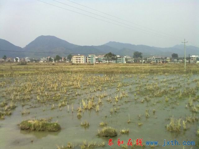 С 20101223192.jpg