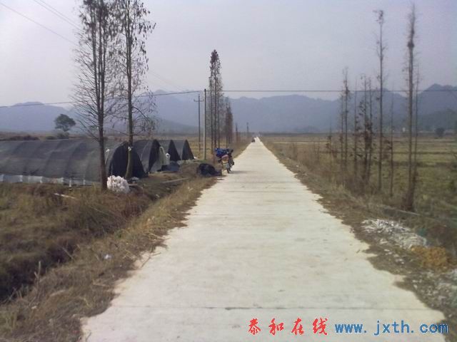 С 20101223194.jpg