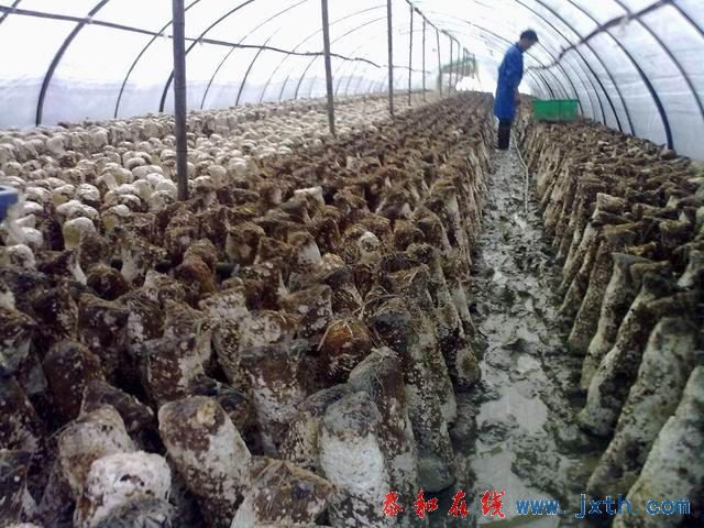 С 20101223199.jpg