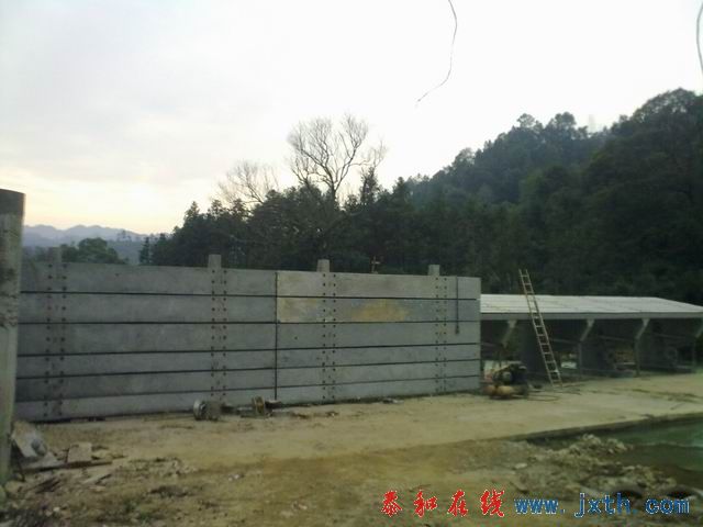 С 20101223179.jpg