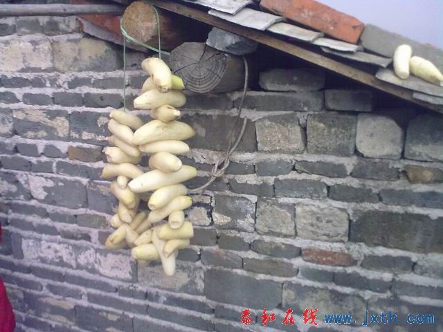 С 20101223205.jpg