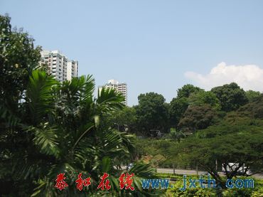 nEO_IMG_09.0801 (84).jpg