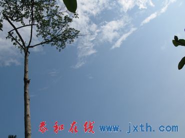 nEO_IMG_09.0801 (130).jpg