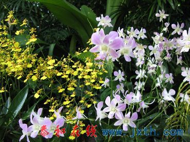nEO_IMG_09.0801 (120).jpg