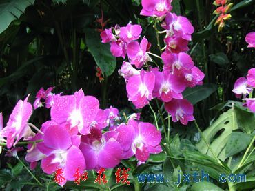 nEO_IMG_09.0801 (121).jpg