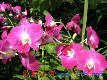 nEO_IMG_09.0801 (122).jpg