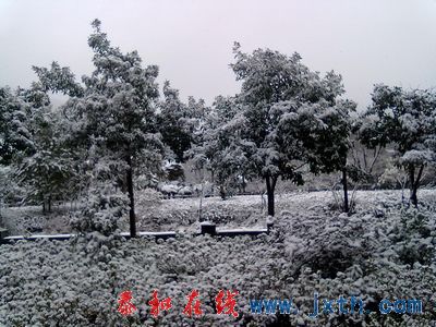 nEO_IMG_20101225039.jpg