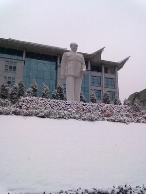 nEO_IMG_20101225034.jpg