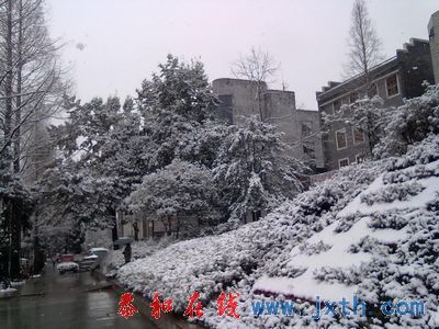 nEO_IMG_20101225035.jpg