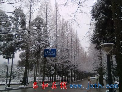 nEO_IMG_20101225036.jpg
