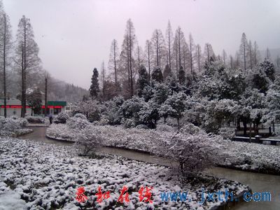 nEO_IMG_20101225038.jpg