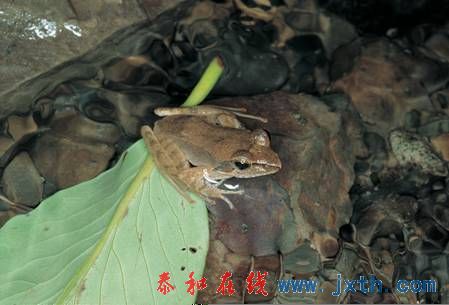 飬.jpg