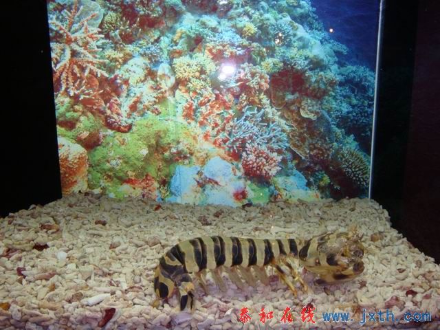 С DSC09655.JPG
