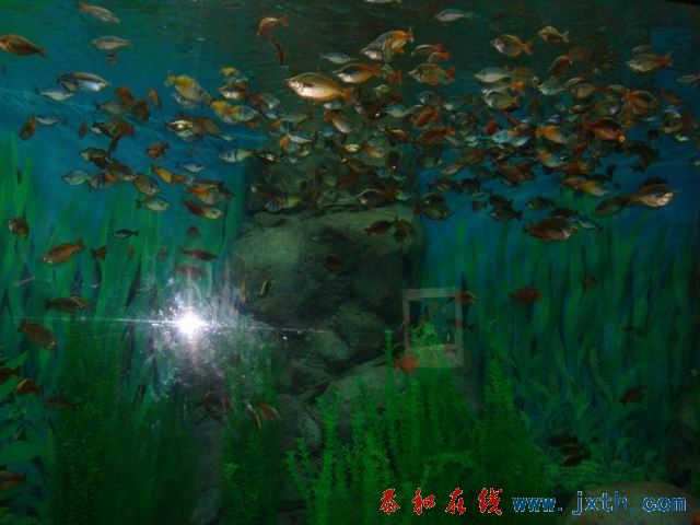 С DSC09673.JPG