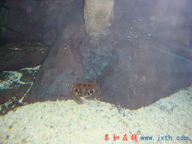 С DSC09685.JPG