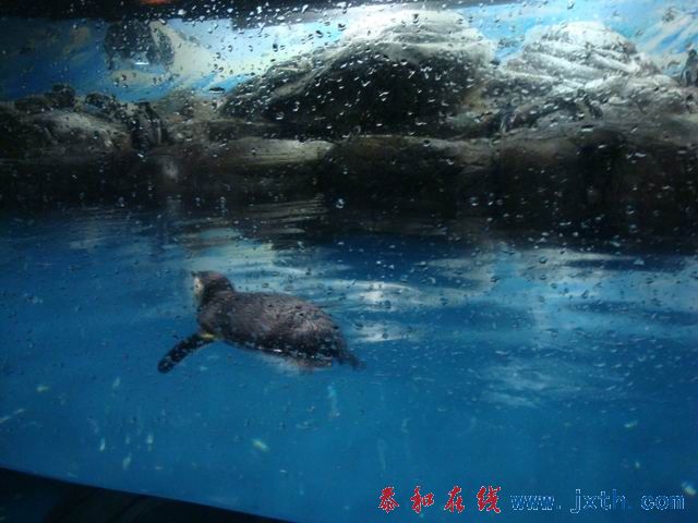 С DSC09690.JPG