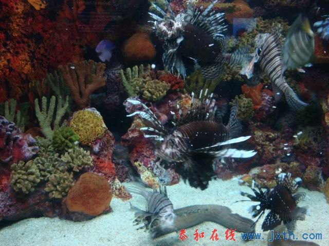 С DSC09692.JPG