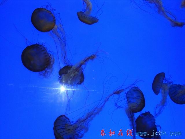 С DSC09704.JPG