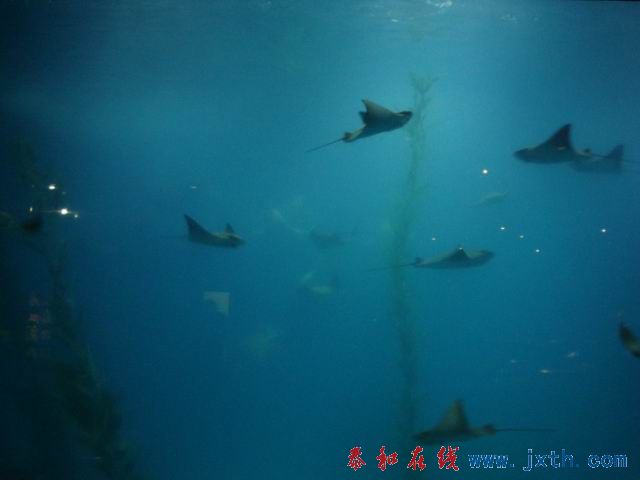 С DSC09709.JPG