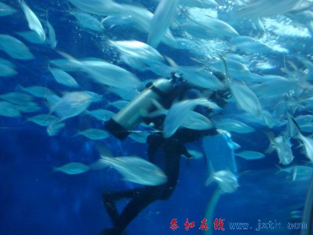 С DSC09721.JPG