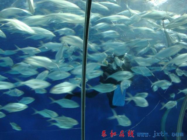 С DSC09723.JPG