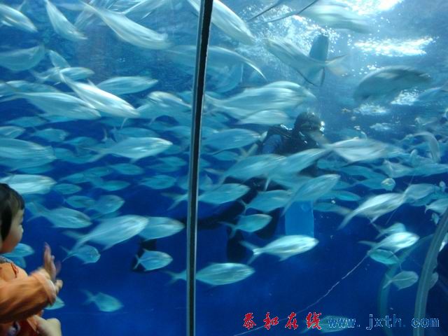 С DSC09724.JPG