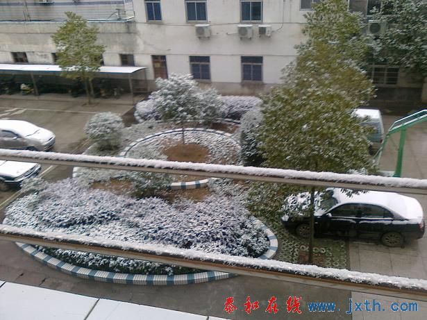 20110111297.jpg