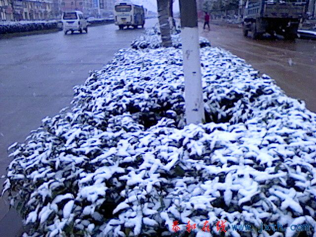 IMG1082A.jpg