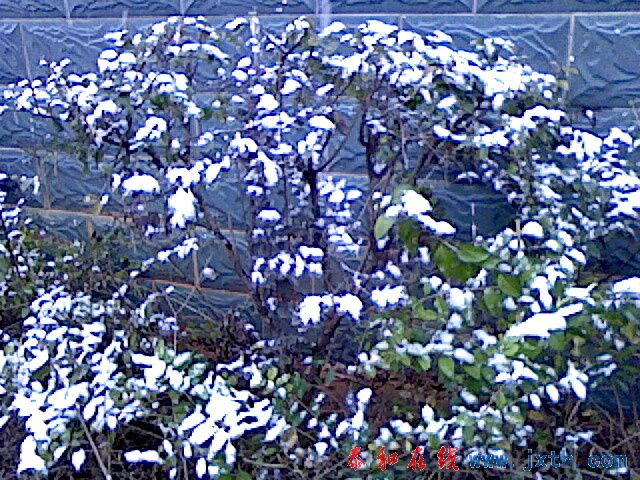 IMG1084A.jpg