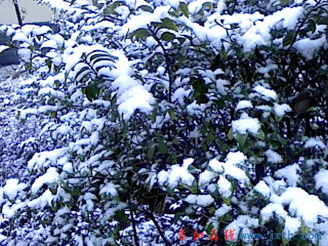 IMG1087A.jpg