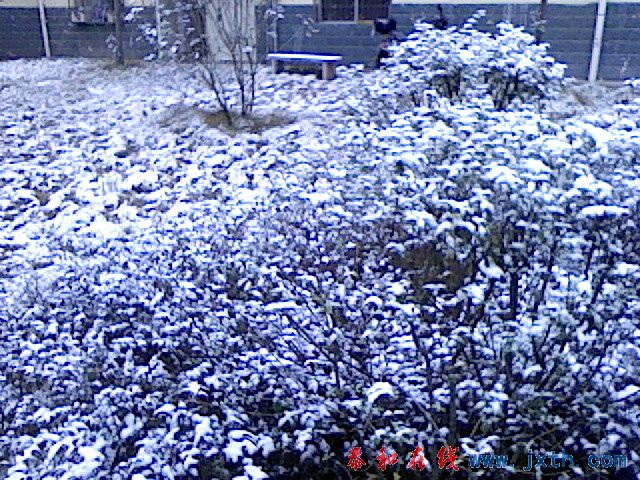 IMG1088A.jpg