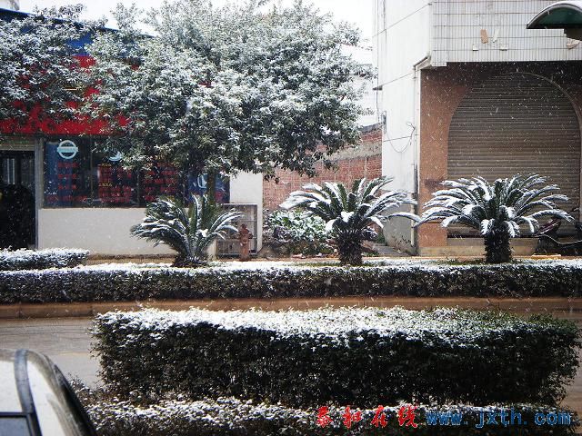 c482873c55d217a515cecbbc.jpg