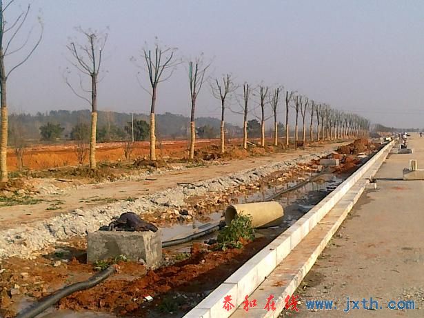 20110112304.jpg